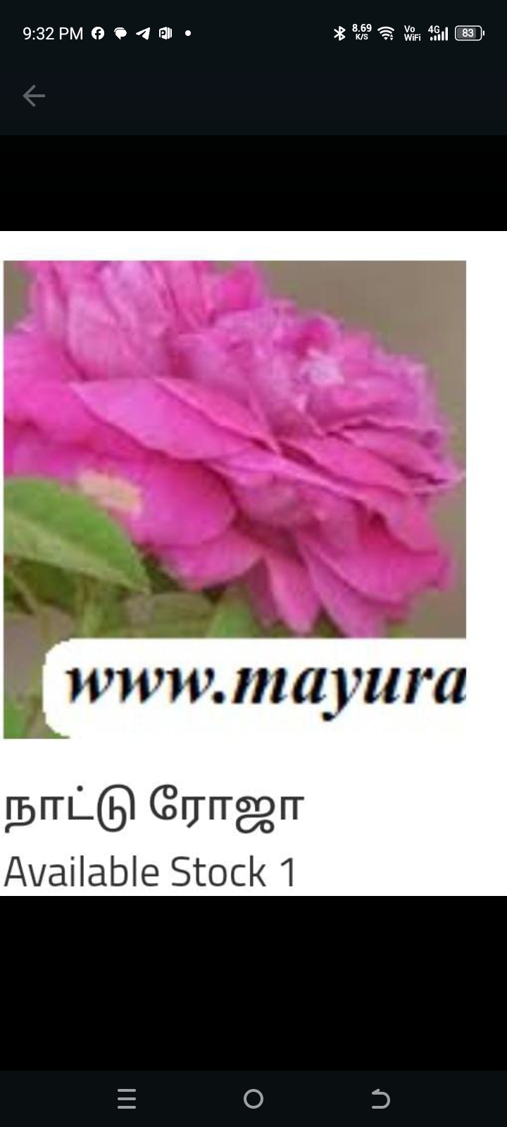 நாட்டு ரோஜா