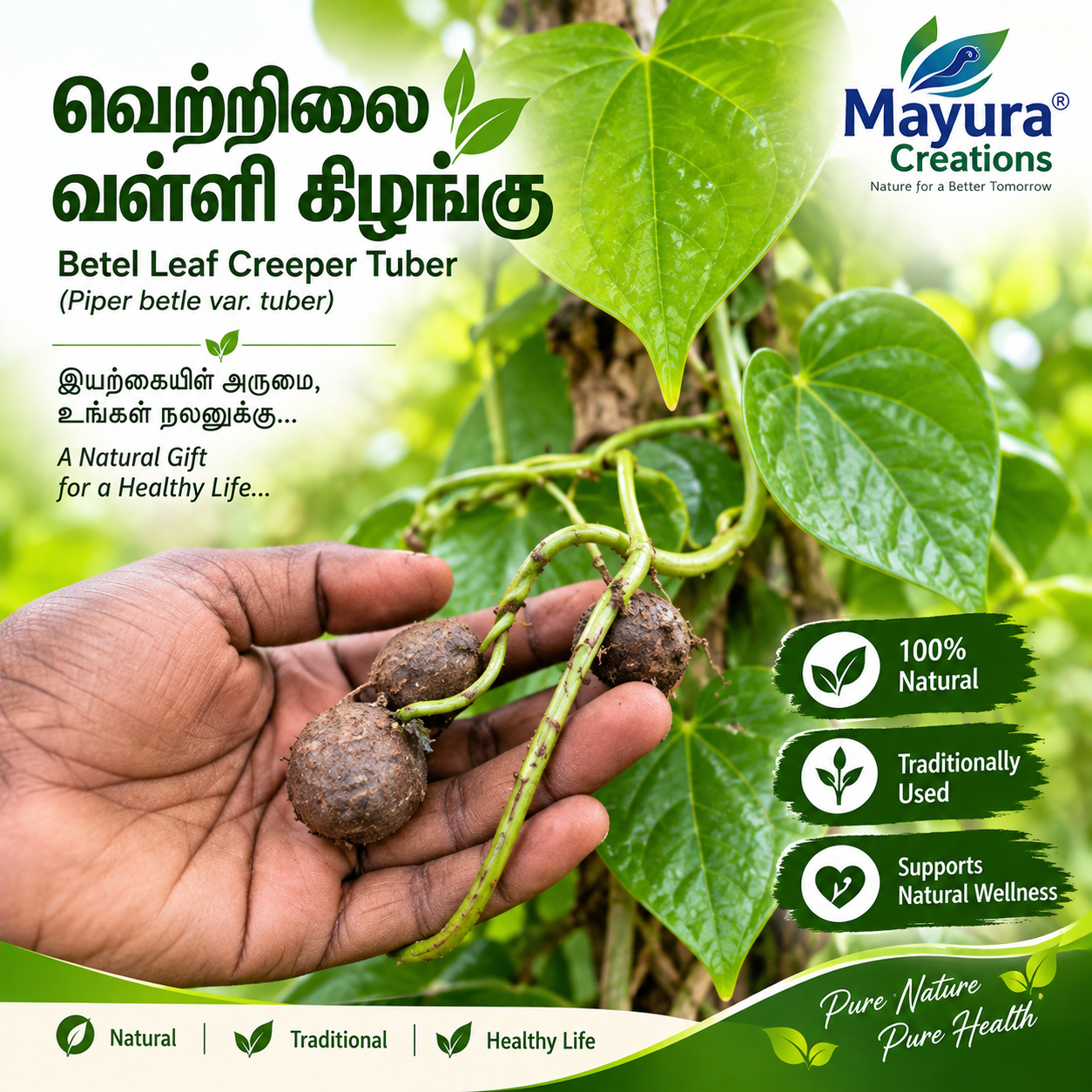 வெற்றிலை வள்ளி கிழங்கு