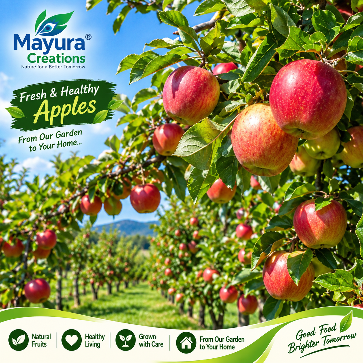 Apple Plant
