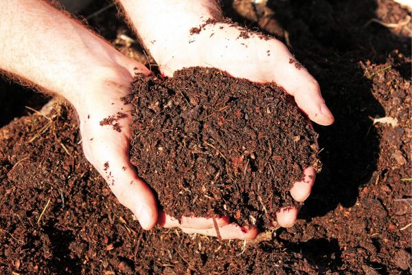 organic manure 10 Kg Shipping Free with in TN &amp; Pondi